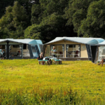 Tendances campings