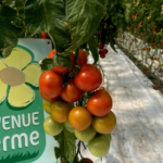 Label Bienvenue à la Ferme